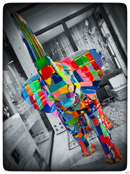 flip flop elephant